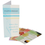 Fiches promotionnelles réalisées avec InDesign, Illustrator et Photoshop: technique illustration, traitement images et mise en page